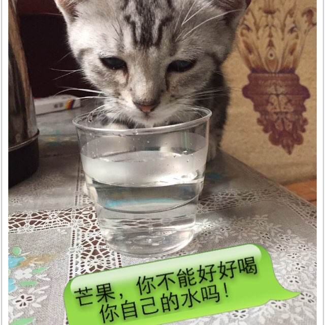 办假的宾夕法尼亚州地址证明